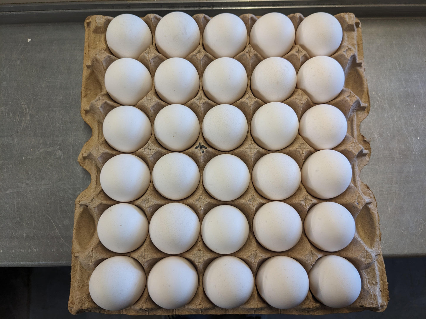 Extra Large White Loose- Case of 180