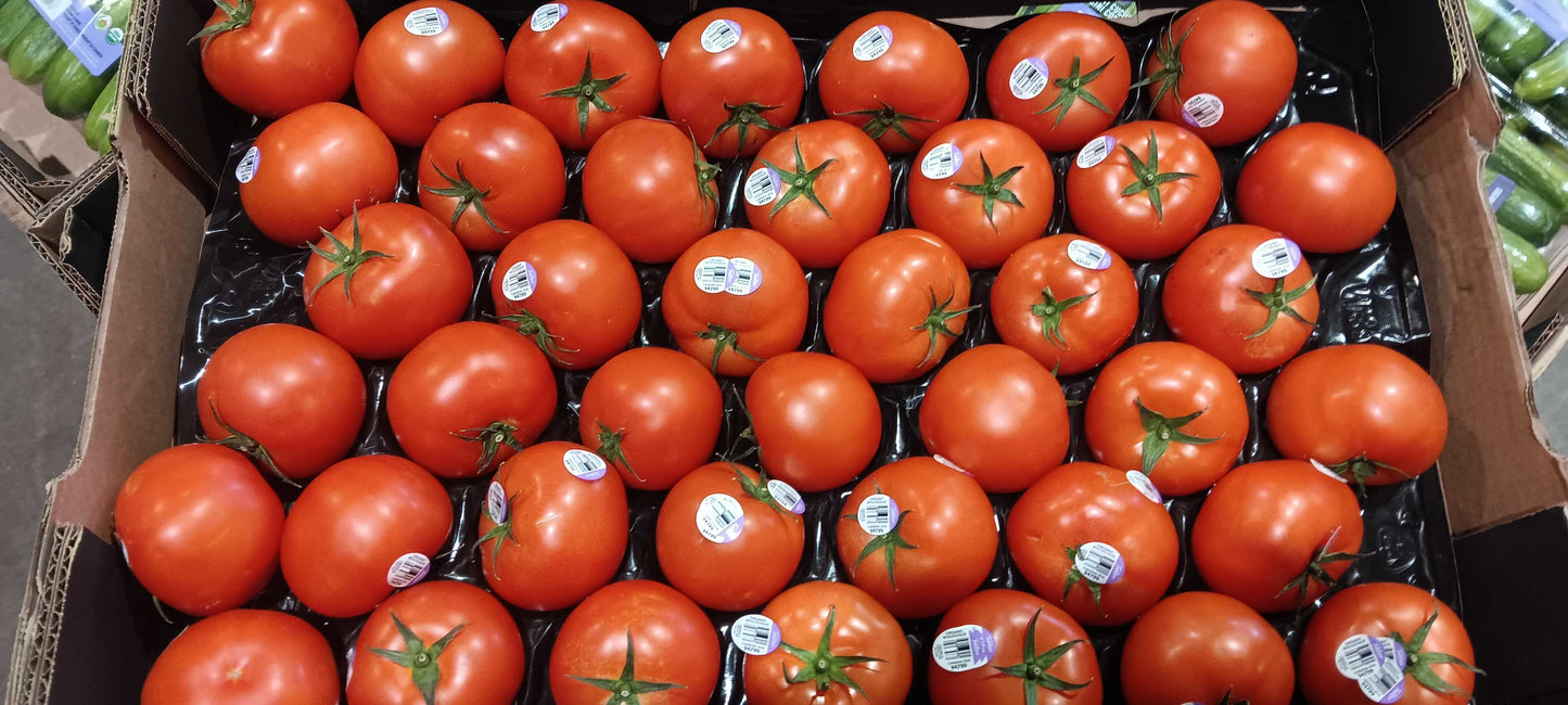 Tomatoes