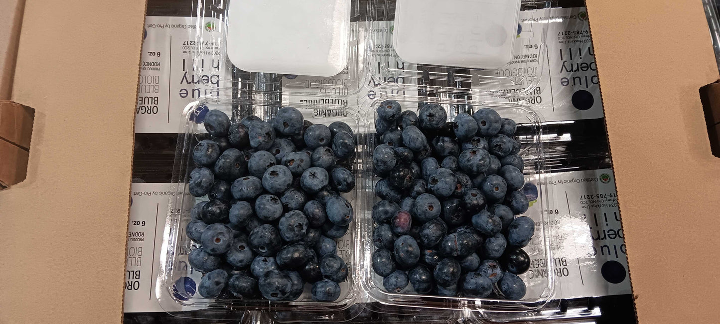 Blueberries