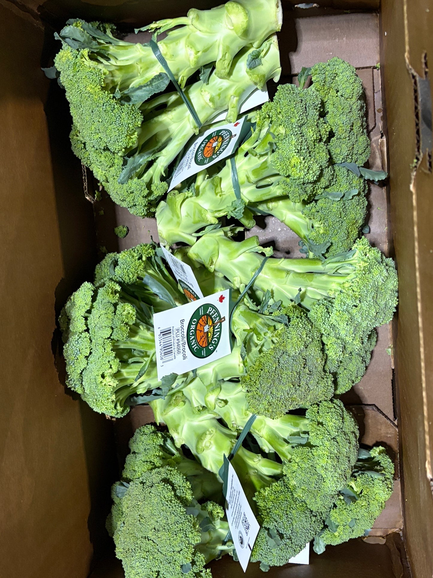 Broccoli