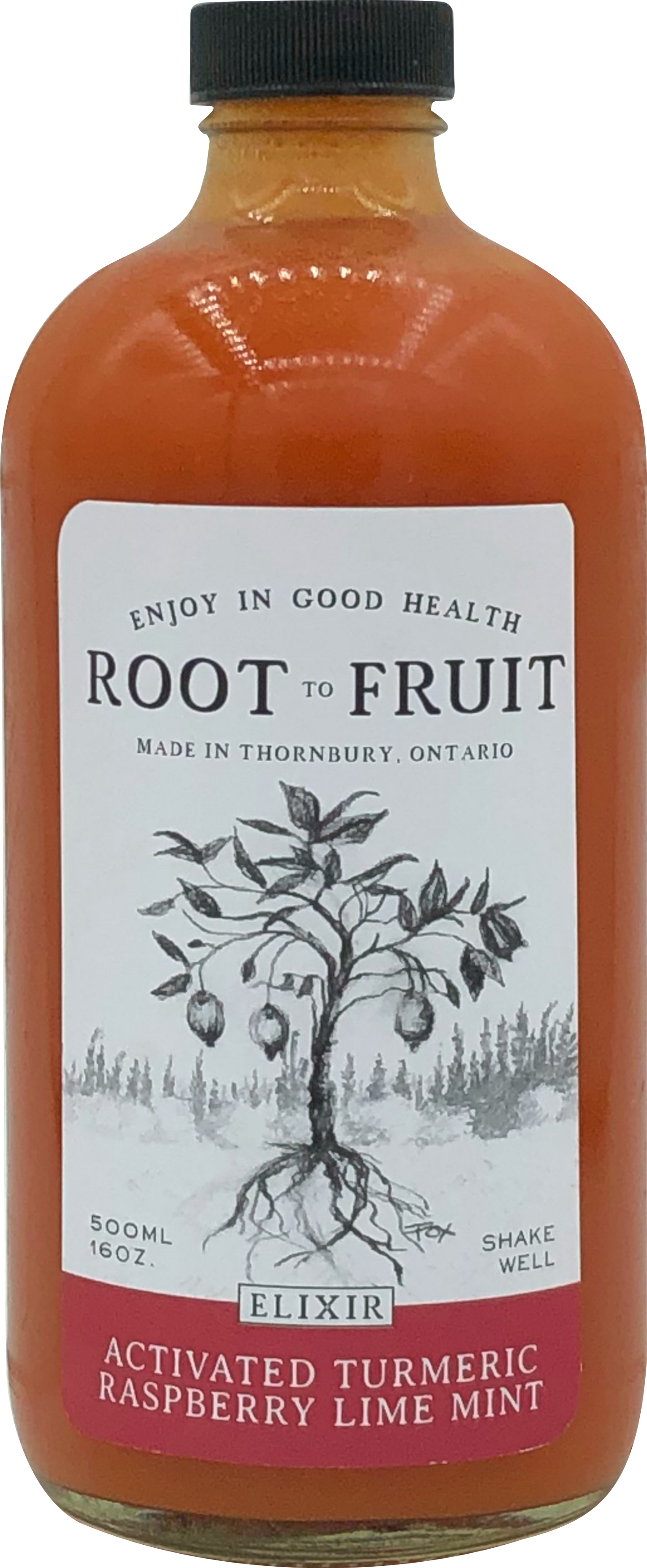 Root to Fruit Activated Turmeric Ginger Raspberry Lime Mint - Case of 6