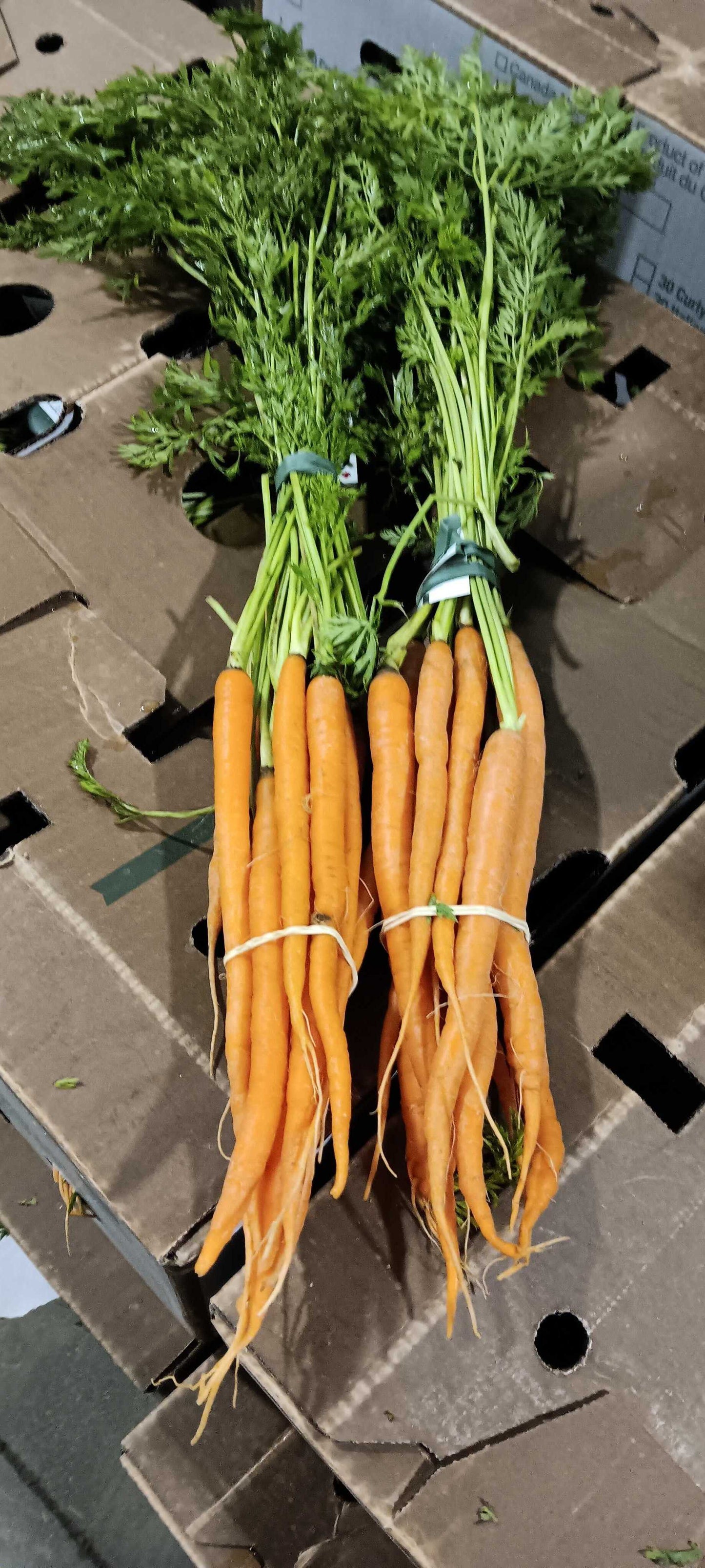 Bunched Carrots
