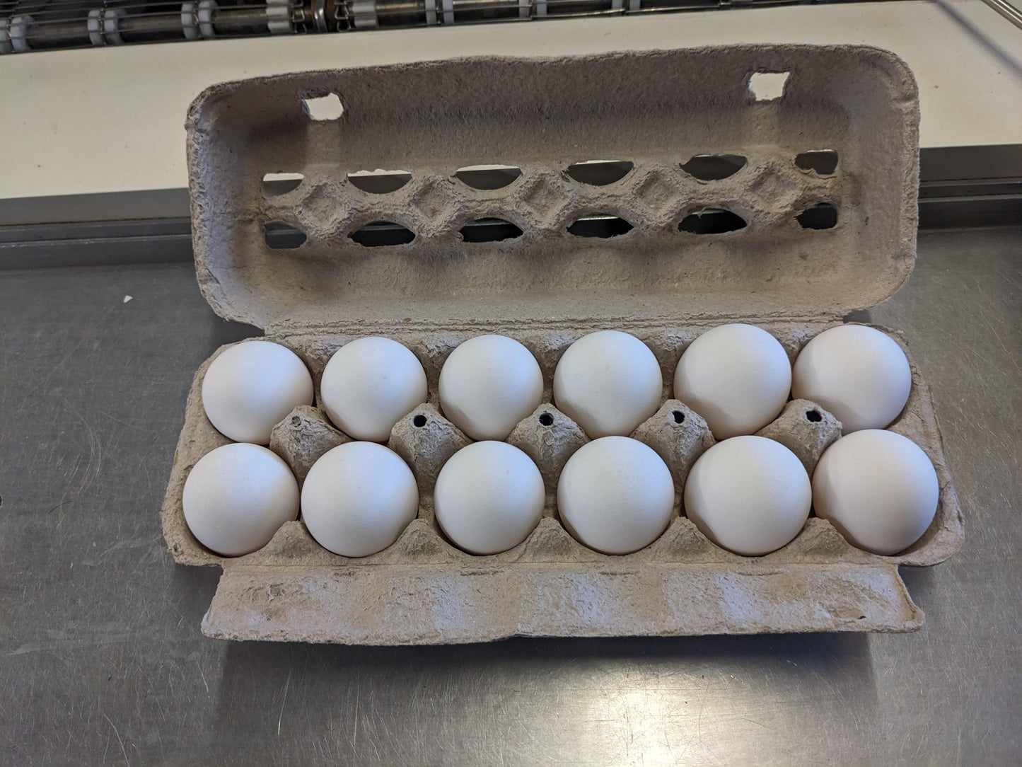 Large White Carton