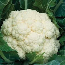 Organic Cauliflower - White (Head)