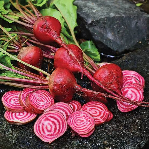 Candy Cane Beets