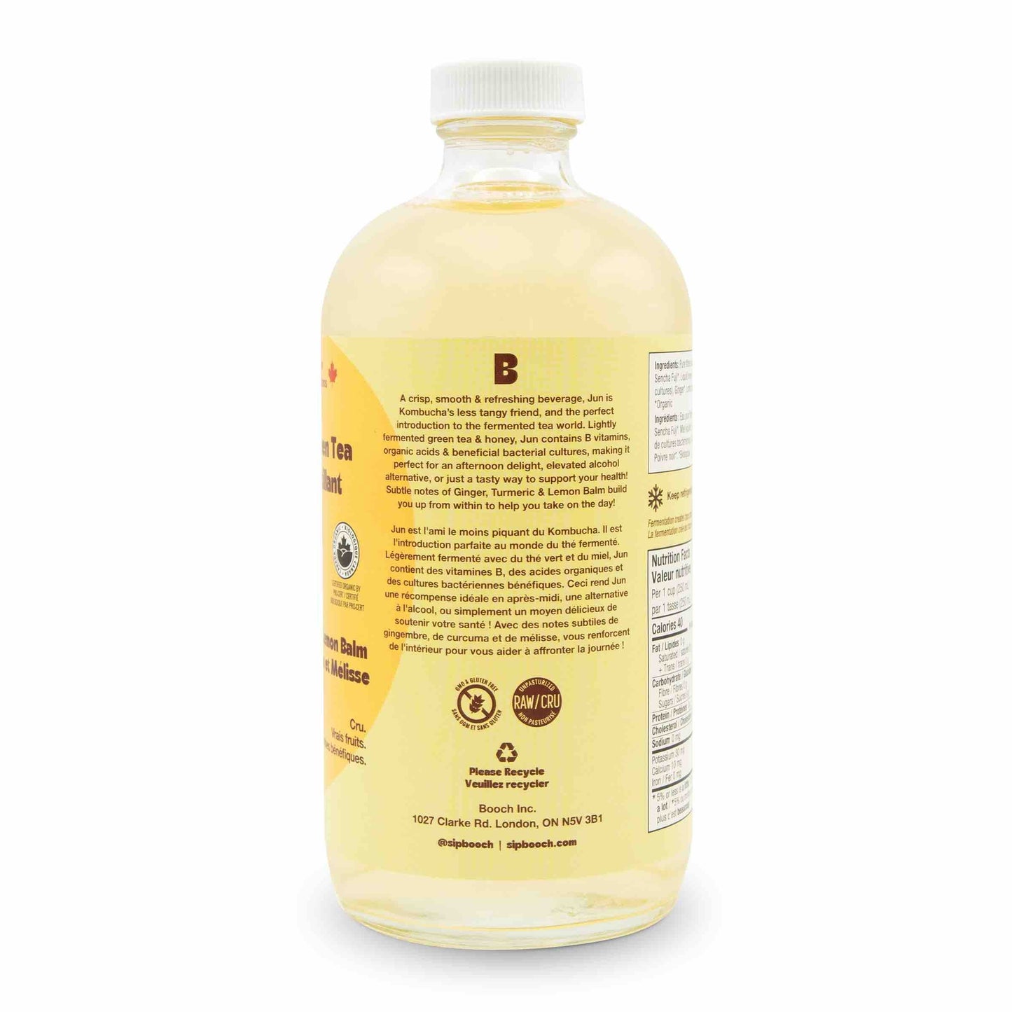 Sparkling Green Tea - Ginger, Turmeric & Lemon Balm (6 Bottles)