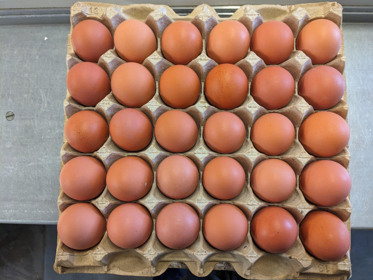 Large Brown Eggs - Case of 180