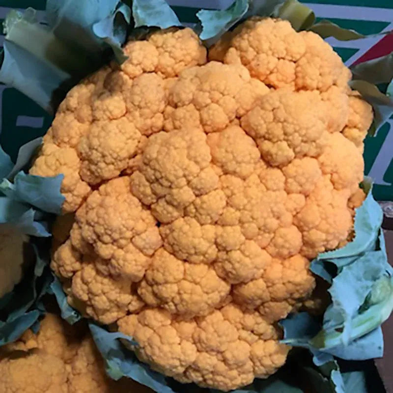 Cheddar Cauliflower