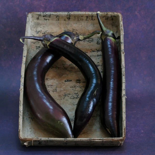 Long Nagasaki Eggplant
