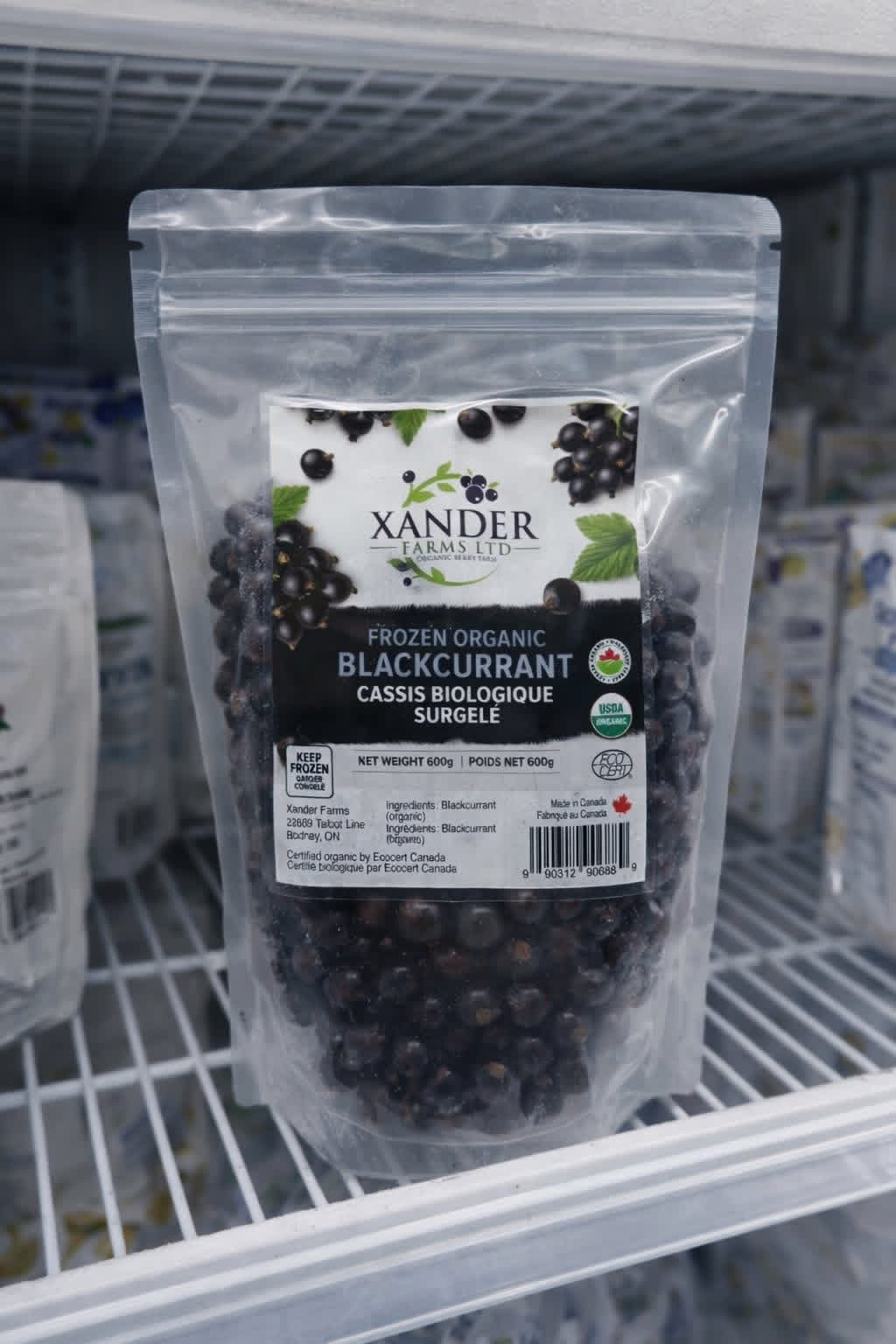 Organic Black Currant - Frozen