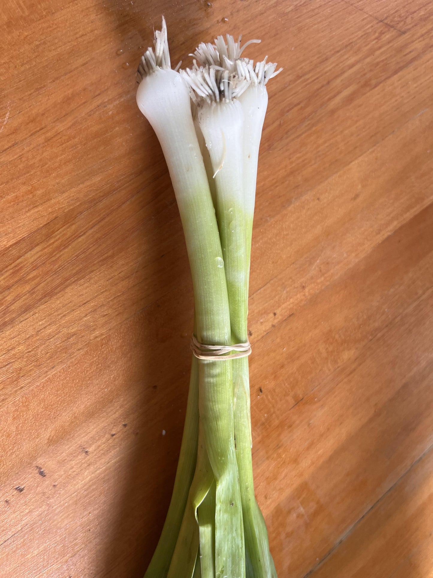 Baby Leeks
