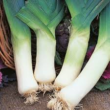 Jumbo Leeks