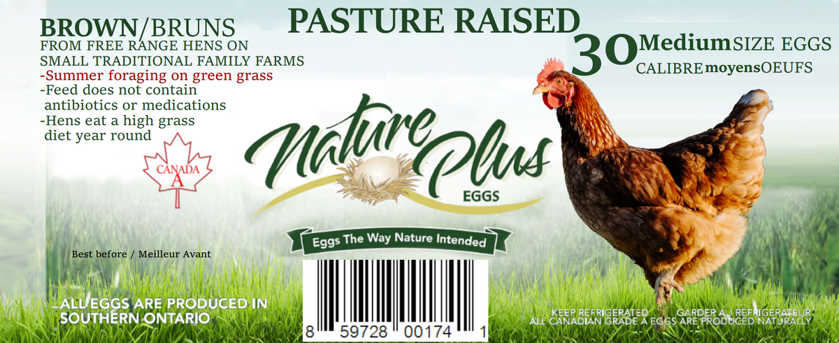 Pasture-Raised Wrapped Medium Eggs