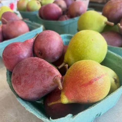 Harrow Crisp Pears