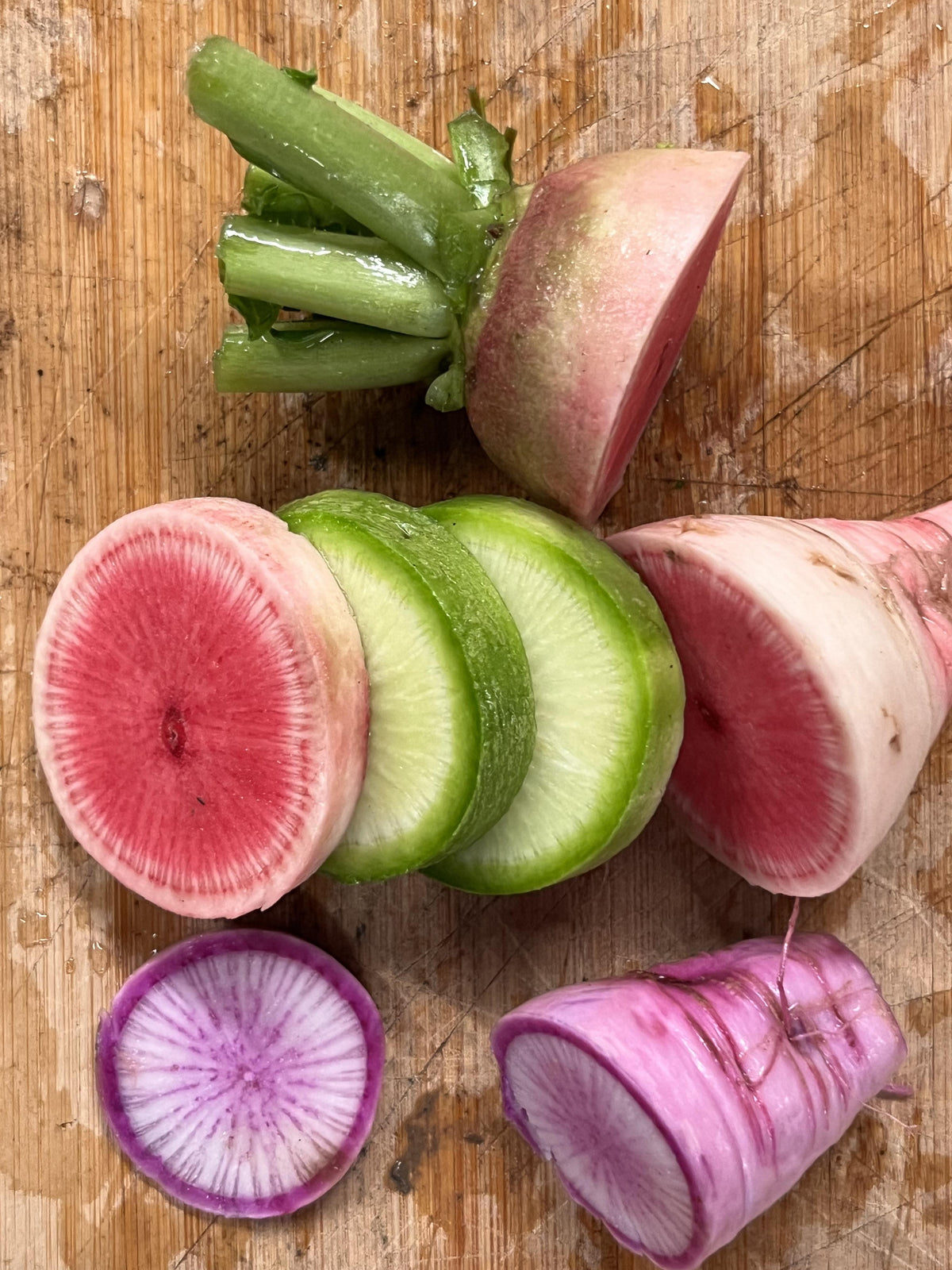 Mixed Winter Radishes