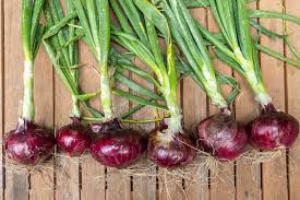 Red Onions with Tops