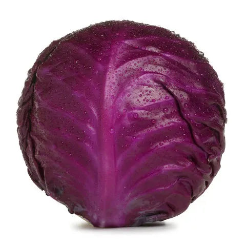 Large Red Cabbage