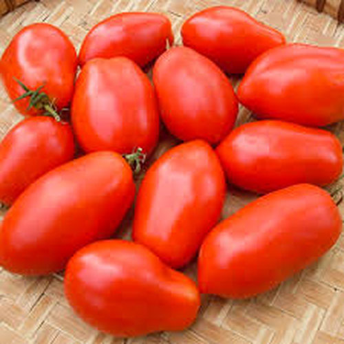 Roma Tomatoes