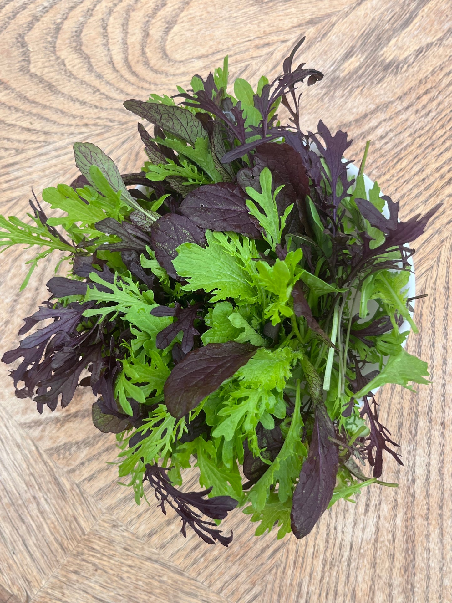 Organic Greens - Baby Mustard Greens