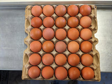 Large Organic Brown Loose - Case of 180