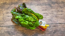 Rainbow Chard