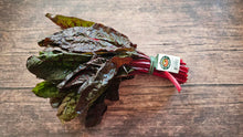 Red Swiss Chard