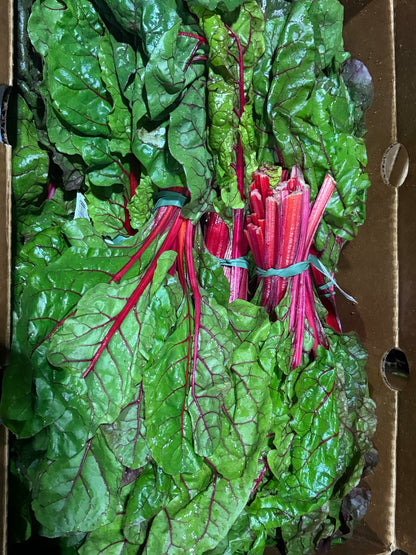 Red Swiss Chard