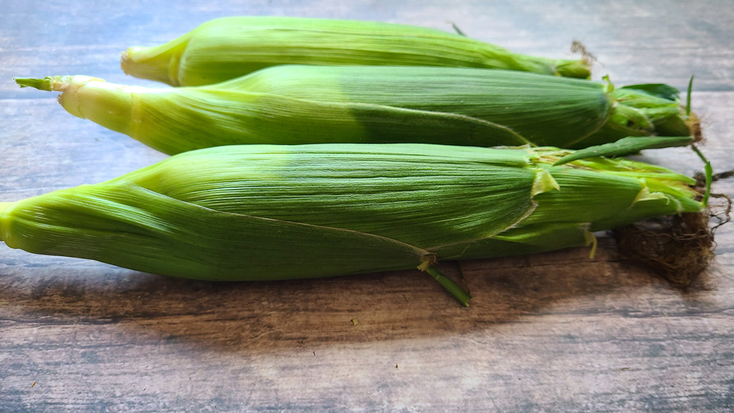 Sweet Corn