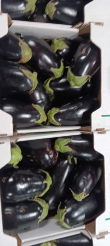 Eggplant