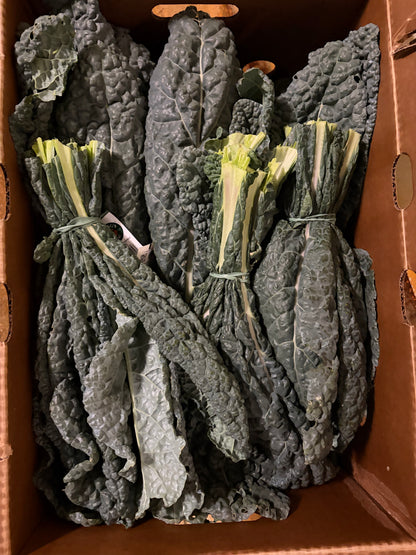 Dino Kale