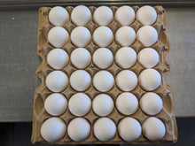 Extra Large White Loose- Case of 180