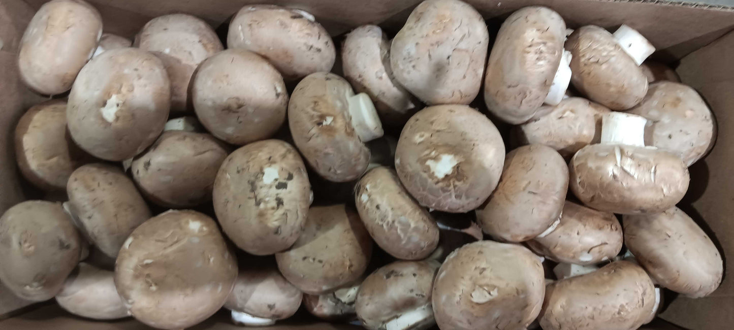 Mini Bella Mushrooms
