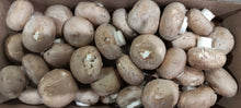 Mini Bella Mushrooms