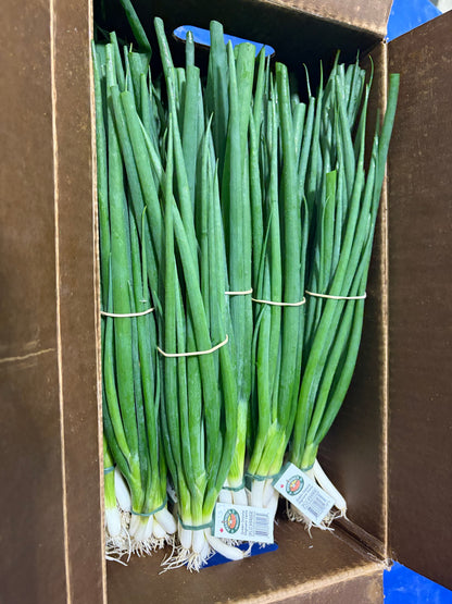 Green Onions
