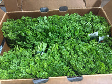 Curly Parsley