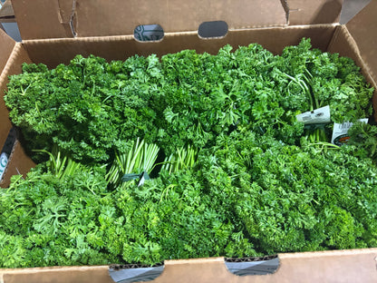 Curly Parsley