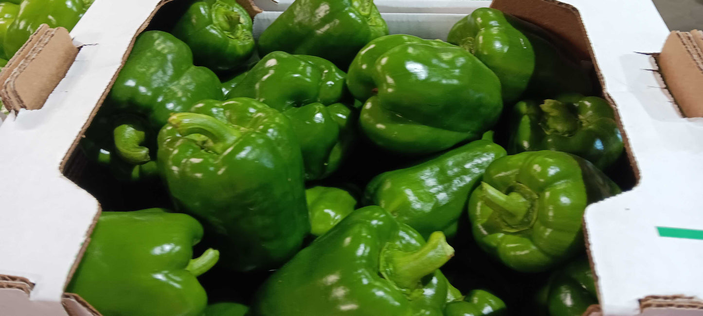 Green Pepper