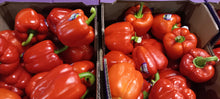 Red Peppers