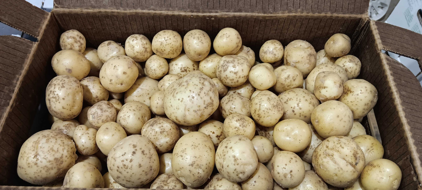 White Potatoes