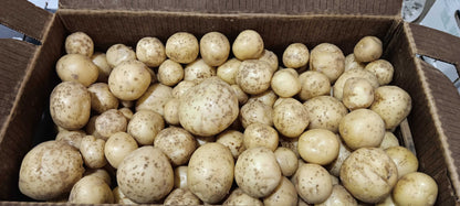 White Potatoes