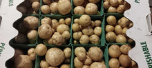 White Potatoes