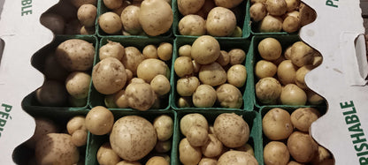 White Potatoes