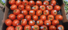 Tomatoes