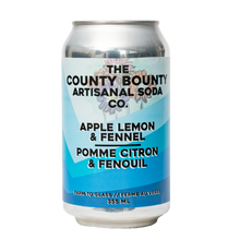 Apple Lemon Fennel Soda