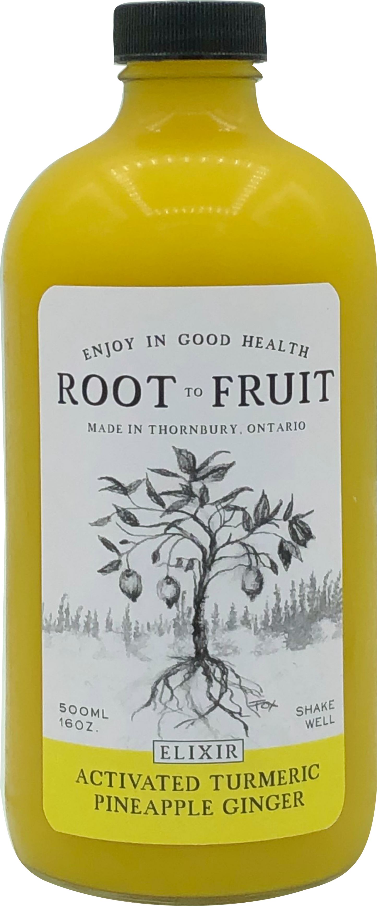 Root to Fruit Activated Turmeric Ginger Pineapple - Case of 6
