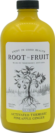 Root to Fruit Activated Turmeric Ginger Pineapple - Case of 6