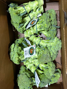 Broccoli