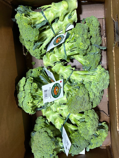 Broccoli
