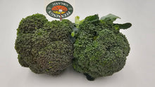 Broccoli