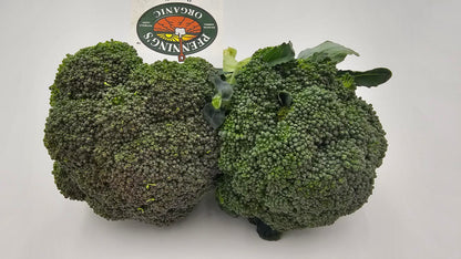 Broccoli